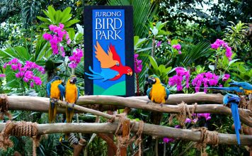 Jurong Bird Park : Pecinta Burung dijamin Happy! :)